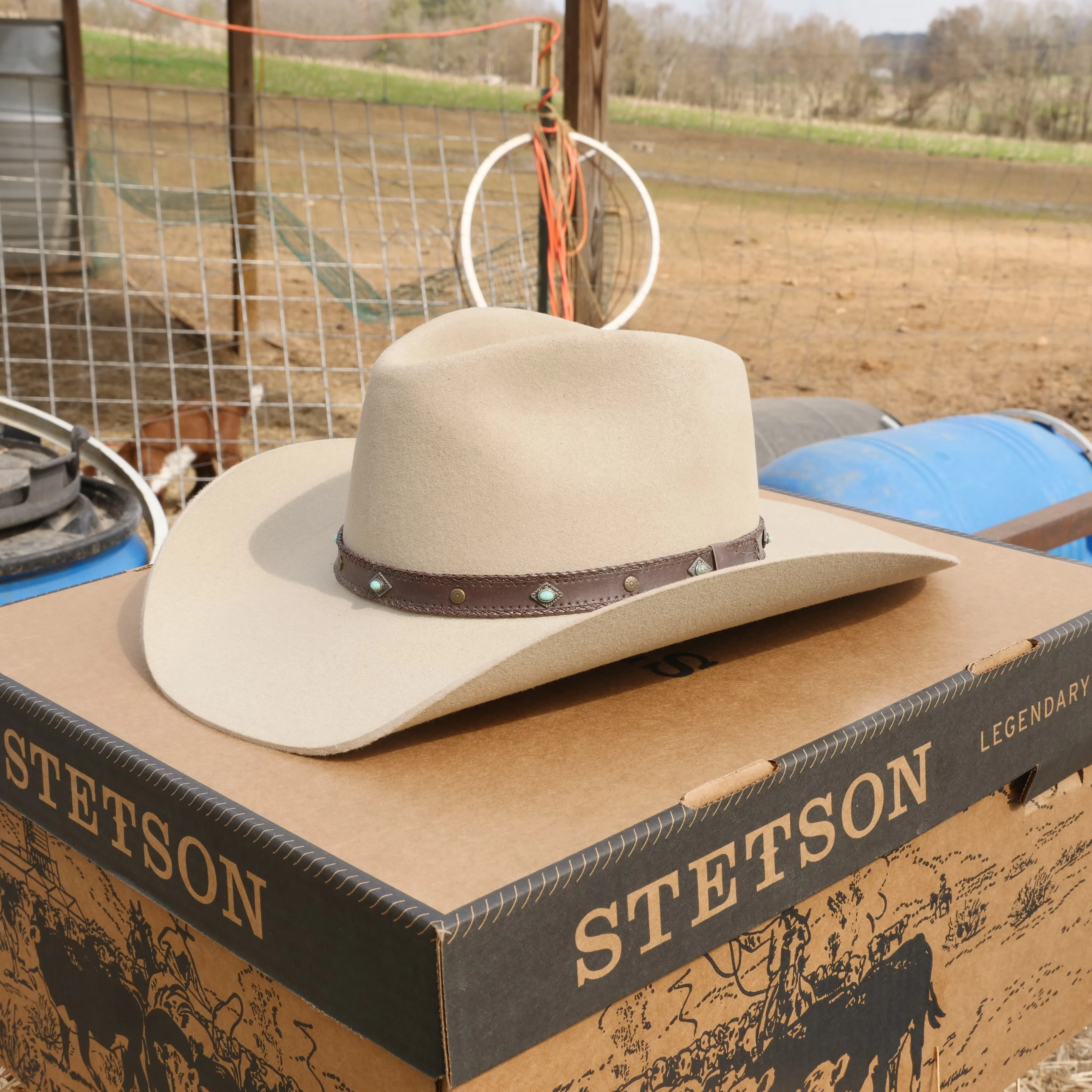 Stetson 4X Buffalo Cowboy Hat Sunset Ride