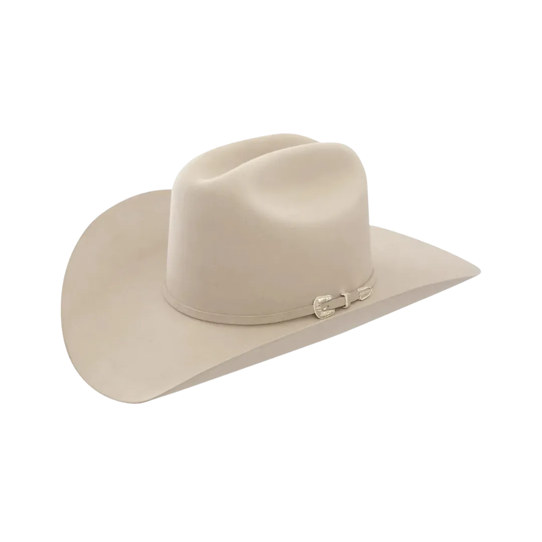 Stetson Hats 6x Skyline Silverbelly Fur Felt Hat